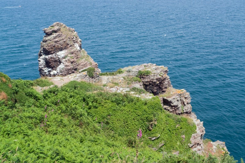 弗雷埃勒角,水,水平画幅,无人,岩层,夏天,户外,布列塔尼,石头,植物