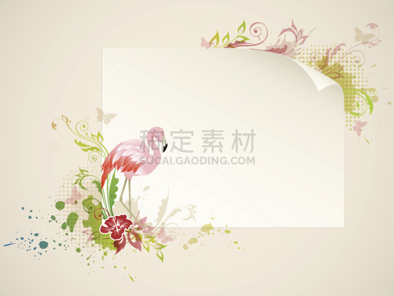 火烈鸟,自然,华丽的,空白的,点状,热带气候,风景,图像,摇滚乐