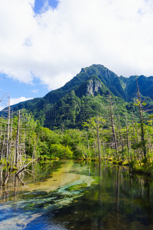 上高地国家公园,长野县,布希曼族,山,沼泽,飞驒山脉,自然,垂直画幅,秋天,日本