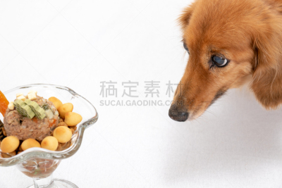 冻糕,狗食,食品,玻璃杯,维生素,狗,十全利口酒杯,动物,宠物商店