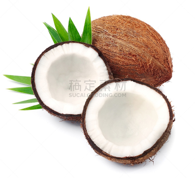 椰子,褐色,气候,水平画幅,图像,特写,棕榈树,充满的,部分,多毛的