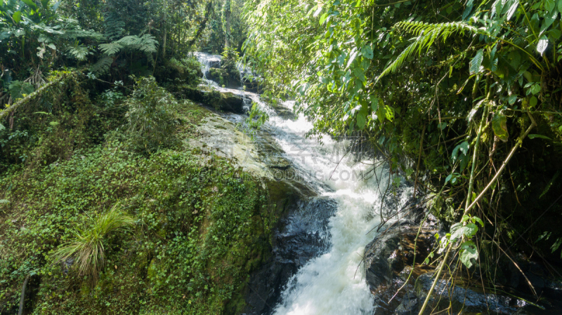 waterfall with 125 meters of height of water fall in Brazil in Santa Catarina Corupa. Route with 14 waterfalls in one of the last areas of Atlantic forest. Corupa means area of ​​many stones. The Rio Novo is born in the fields of the plateau and plunges t