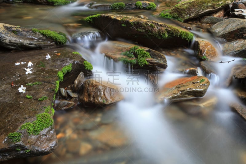 小溪,勒孔特山,杜鹃花属,自然,水,水平画幅,无人,户外,长时间曝光,小路