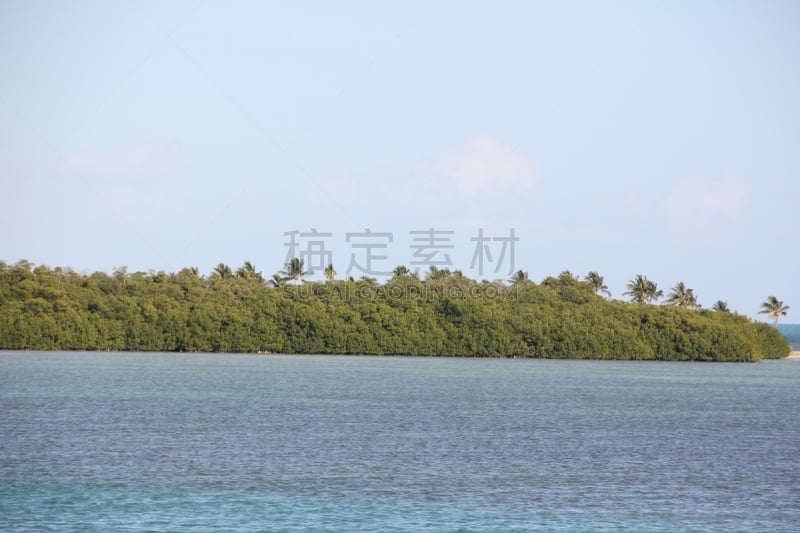 佛罗里达,岛,海洋,风景,美国,佛罗里达群岛,基韦斯特,棕榈滩,观光船,水