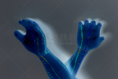 针灸模型,健康保健,手,灰色背景,针灸师,针灸,躯干,胸部,替代疗法,辅导讲座