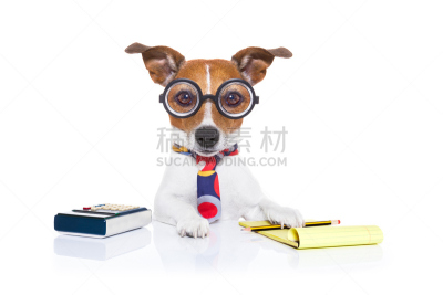 狗,秘书,金融顾问,出版人,古典式,爪子,动物身体部位,税,男商人,经理