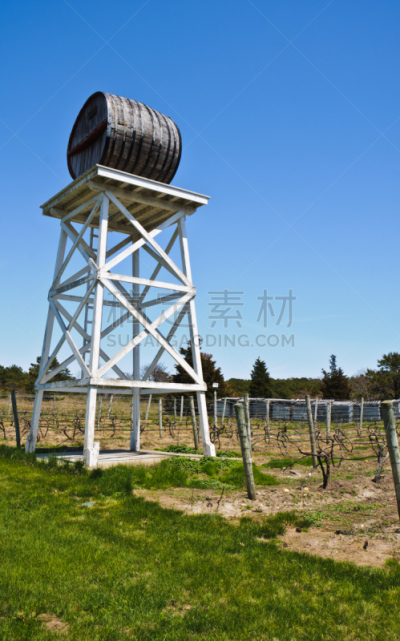 酒桶,葡萄园,特鲁罗,特罗,柯德角,垂直画幅,留白,无人,户外,春天
