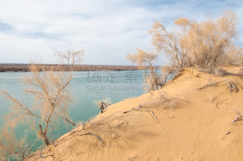 水,沙子,雪,春天,天空,暴风雨,水平画幅,早晨,夏天,户外