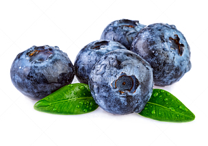 湿,蓝莓,清新,白色背景,分离着色,水,水平画幅,素食,配方,生食