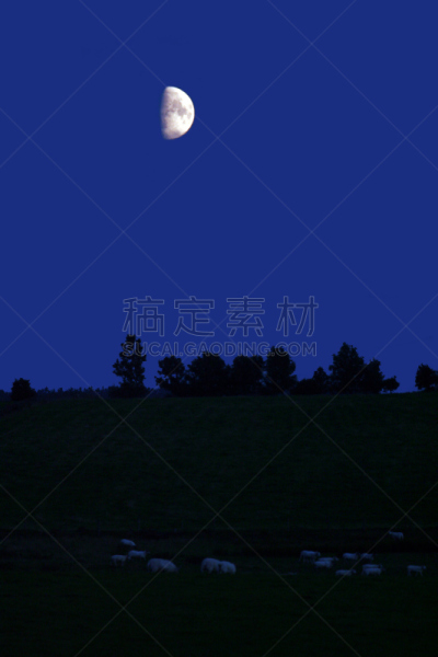 失眠症,安眠药,陨石坑,眩晕的,就寝时间,球体,数,灰色,药丸,行星