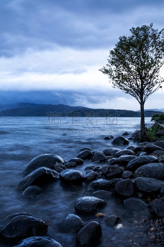 日本,洞爷湖,北海道,旅游目的地,旅途,莫斯特,早晨,一只动物,光,奉承