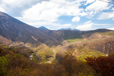 日本,长野县,婚姻,非都市风光,地形,户外,秋天,金色,绿色,蓝色