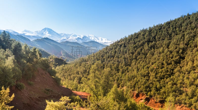 摩洛哥,欧利卡山谷,地形,地名,水平画幅,枝繁叶茂,油橄榄树,雪,古典式,偏远的