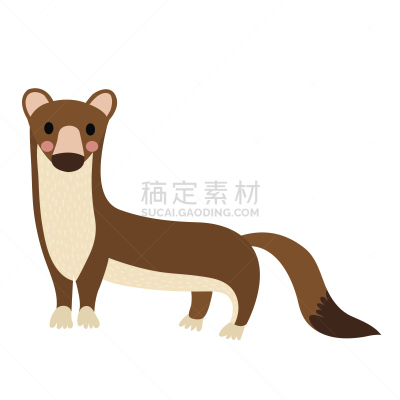 动物,绘画插图,矢量,鼬,动画片,可爱的,狼獾,野生动物,长的,哺乳纲