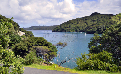 新西兰,海港,非凡的,barrier islands,hauraki gulf islands,水湾,停泊的,水平画幅,游艇,无人