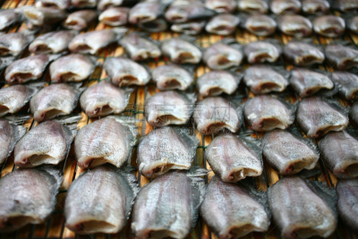 蛇皮纹,鱼类,特写,商务,胸大肌,清新,泰国食品,昂布鲁瓦托马斯,食品,泰国