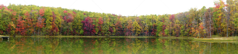 湖,水,水平画幅,户外,四季,树林,叶子,饮用水,季节,自然