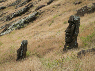 草,自然,南美,复活节岛 ,水平画幅,建筑,无人,过去,国际著名景点,植物