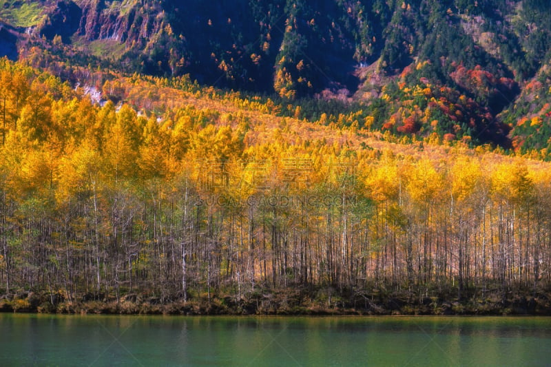 梓川,松本,富山县,飞驒山脉,长野县,水,天空,美,公园,里山