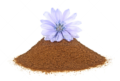 仅一朵花,菊苣,蓝色,白色背景,紧迫,研磨食品,分离着色,creeping bluet,褐色,咖啡生豆