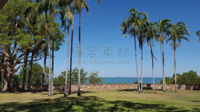 公园,安全护栏,达尔文,名声,天空,风,暴风雨,水平画幅,枝繁叶茂,200周年