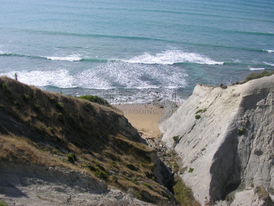 cape kidnappers gannet colony,新西兰,新西兰北岛,自然,海滩,水平画幅,无人,户外,海洋,摄影