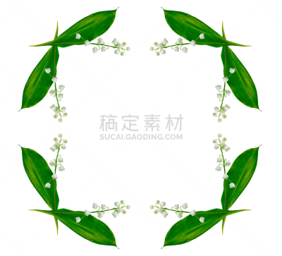 铃兰,背景分离,浪漫,香水,小的,春天,植物,夏天,铃,植物茎