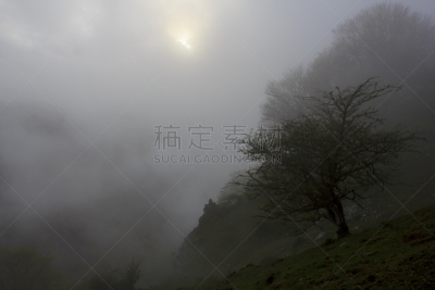 山,雾,哈雅公主,普拉多林荫道,曲尾藓,智利阿伯椒,地球女神,宁静,水平画幅,岩石