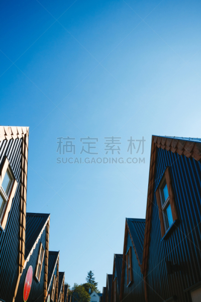 冰岛国,房屋,雷克雅未克,图腾柱,垂直画幅,无人,苔藓,夏天,城镇,著名景点
