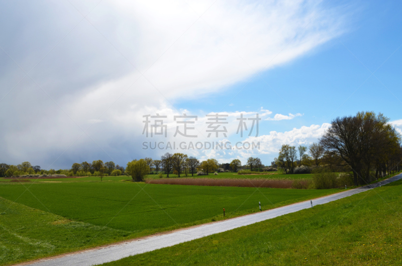 暴风雨,艾尔比山谷,易北河,自然,天空,草地,草原,水平画幅,绿色,地形