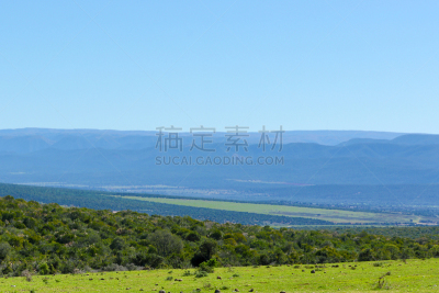 草,山,绿色,灌木,天空,水平画幅,无人,泥土,早晨,夏天