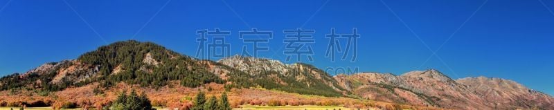 犹他,瓦萨屈山脉,风景,峡谷,地形,山,威尔斯威尔,西,枝