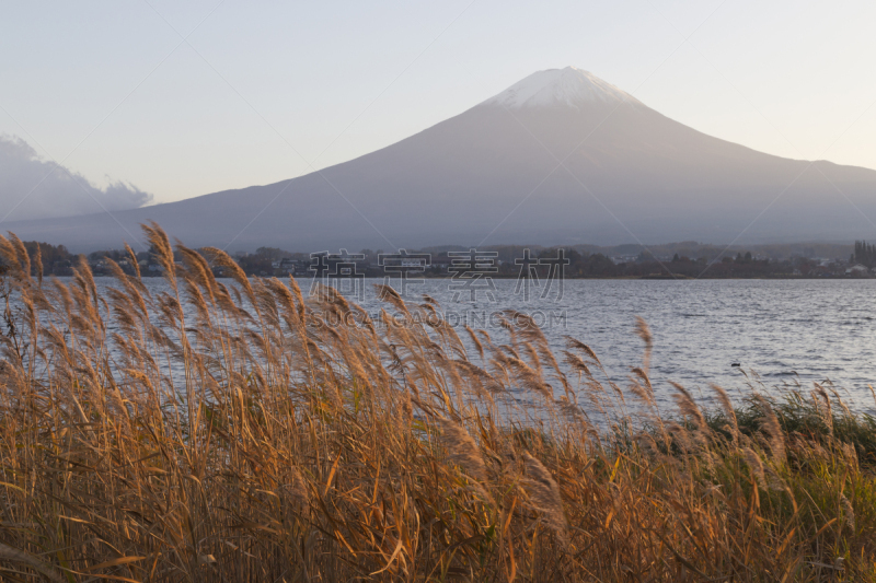 富士山,山,秋天,日本,saiko lake,富士吉田,山之湖,障子,河口湖,水平画幅