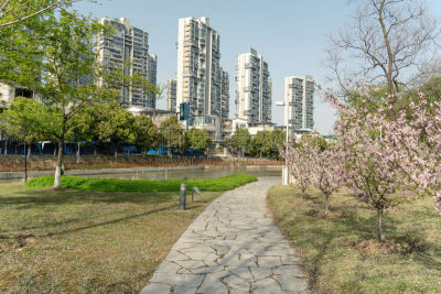 小路,公园,伦敦城,天空,美,度假胜地,水平画幅,枝繁叶茂,无人,古老的
