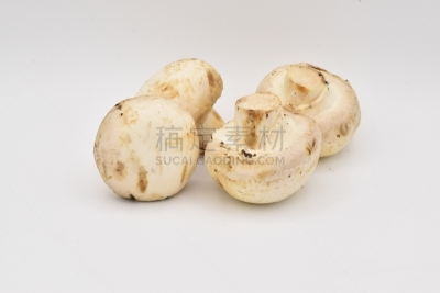 蘑菇,白色背景,美,水平画幅,香菇,夏天,户外,图像,活力,明亮