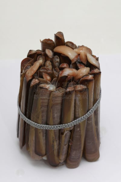 蛤,剃刀,垂直画幅,褐色,生食,清新,双壳贝,贝壳,食品,摄影