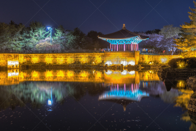 庆州市,夜晚,韩国,池塘,接力赛,亭台楼阁,自然,水,水平画幅,地形