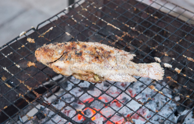 格子烤肉,煤,鱼肉,食盐,水平画幅,无人,膳食,海产,夏天,户外