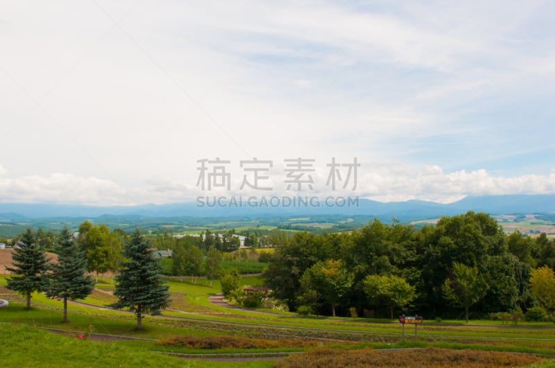 美瑛町,山,夏天,色彩鲜艳,北海道,富良野盆地,避暑圣地,留白,度假胜地,水平画幅