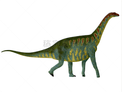 侧面视角,侧面像,泰坦巨龙类,蜥脚类,古生物学,撒哈拉沙漠,恐龙,史前时代,水平画幅,食草动物