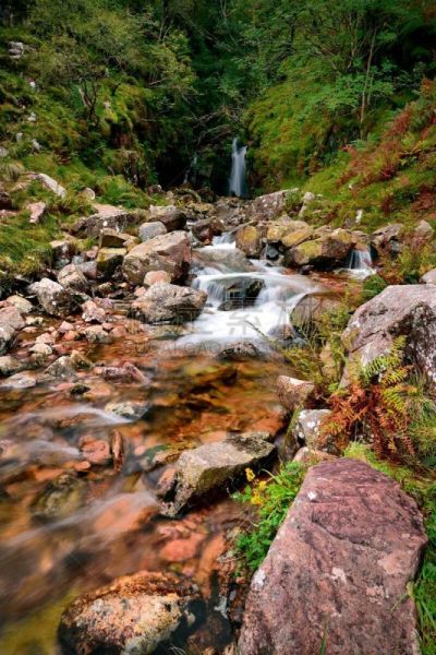 秤,小溪,坎布里亚,英国,英格兰,英格兰湖区,温来特,巨石,农场,植物