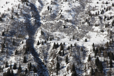 冬天,森林,自然,水平画幅,地形,雪,无人,户外,霜,法尔梅尼尔