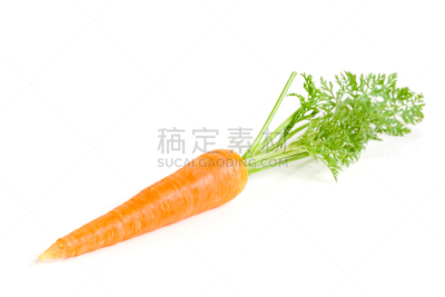 叶子,蔬菜,白色背景,分离着色,胡萝卜,新的,水平画幅,素食,巨大的,维生素
