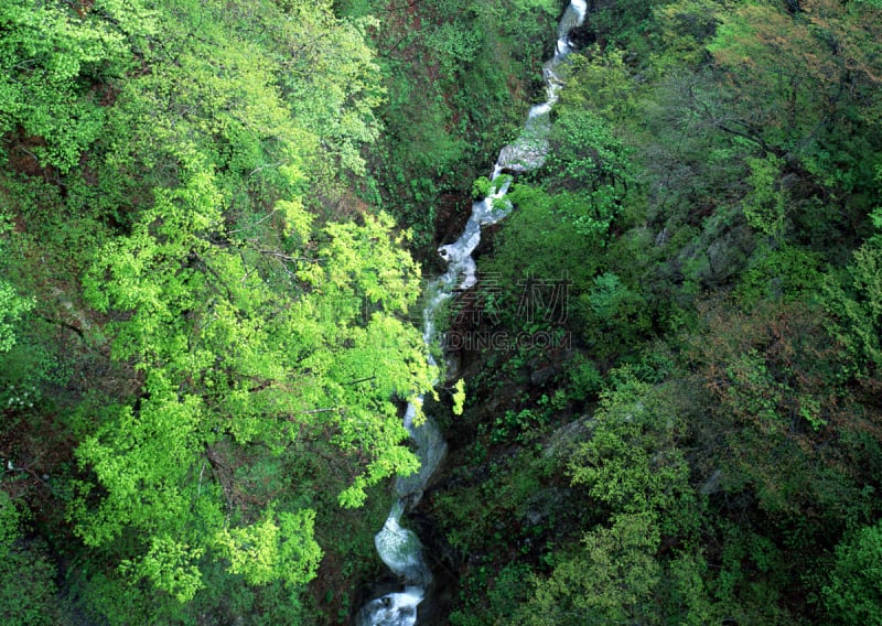 山谷市,大崎市,宫城县,自然,水平画幅,高视角,档案,无人,日本,夏天