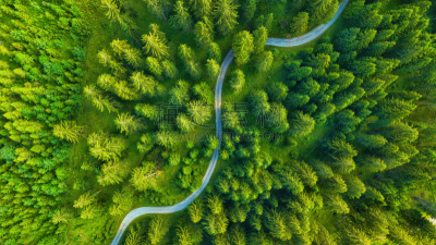 Unsere Wälder