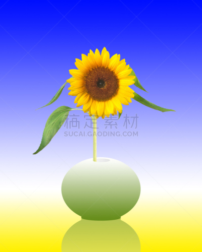 向日葵,垂直画幅,合成图像,美,褐色,绿色,图像处理,蓝色,花,做