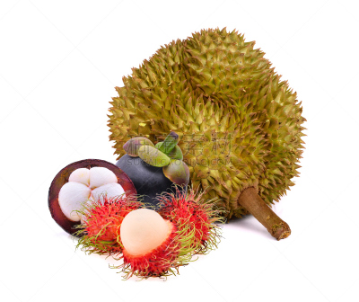 红毛丹,白色背景,分离着色,热带水果,山竹,榴莲,褐色,水平画幅,丁字裤,荆棘