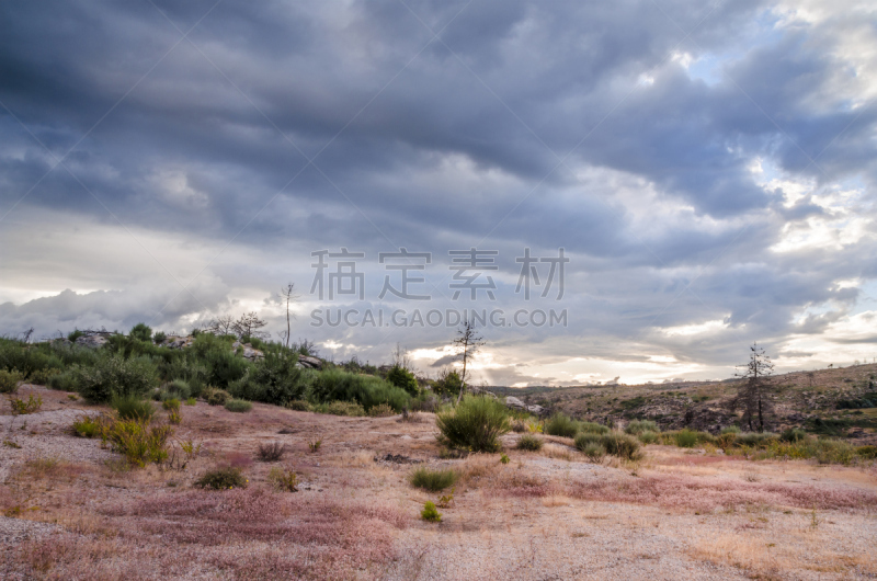 地形,葡萄牙,暴风雨,白昼,极端地形,山后地区,自然,天空,草地,水平画幅