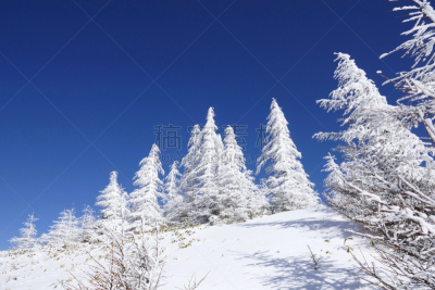 白色,冬天,地球,国内著名景点,寒冷,旅途,安静,美原,长野县,背心