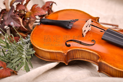 小提琴,秋天,叶子,褐色背景,纹理效果,请柬,巴洛克式的管弦乐,美术工艺,设备用品,高音谱号